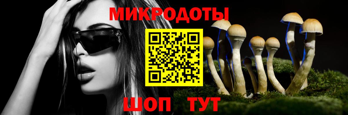 Псилоцибиновые грибы MAGIC MUSHROOMS Лысьва