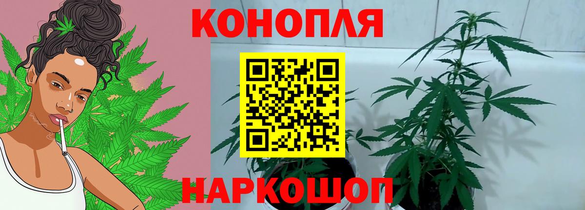 Конопля MAZAR Лысьва